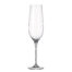 CYNA GLASS flute à champagne cristal sans plomb collection URIA 270ml carre